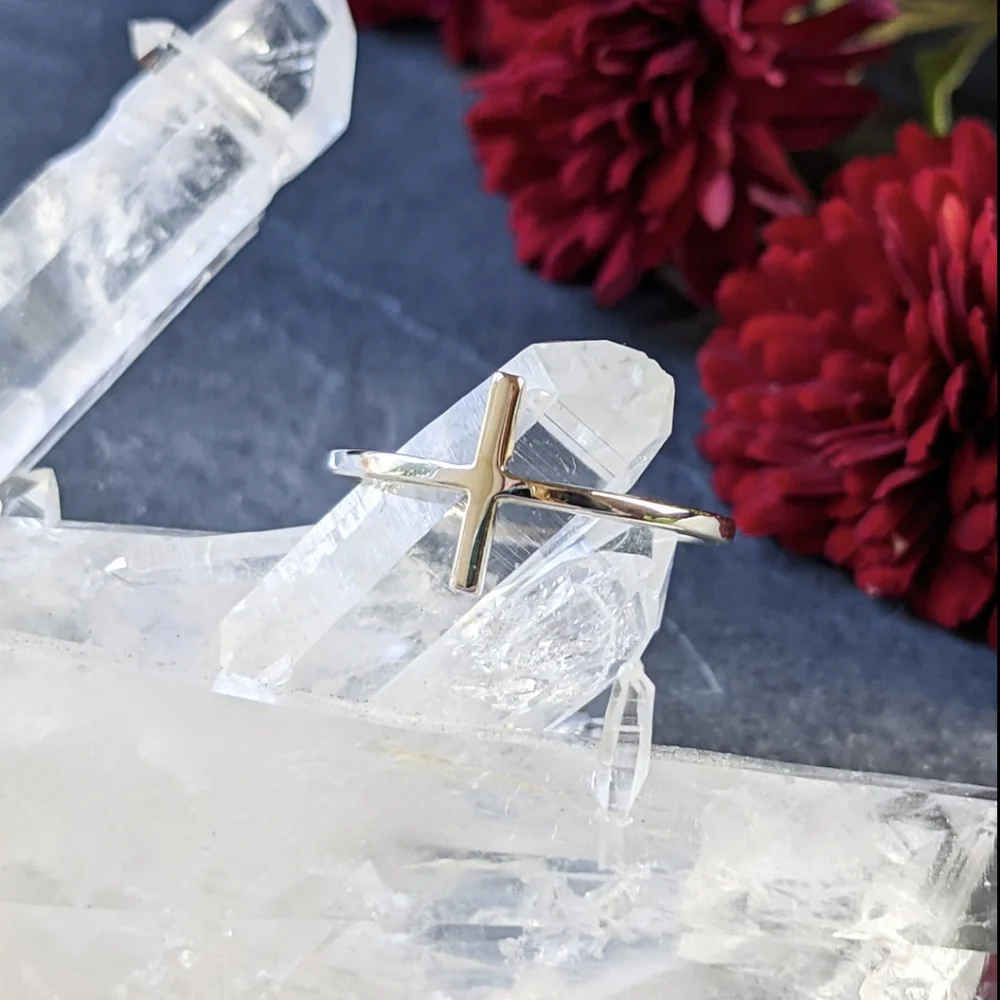 NWT Honeycat Jewelry Silver T-Bar Ring